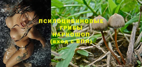 индика Костерёво