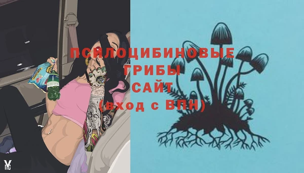 шишки Красноперекопск