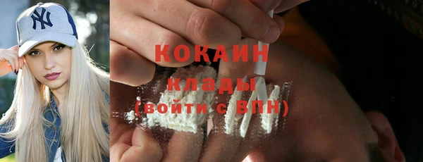 гидра Коряжма