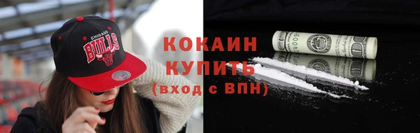 индика Костерёво