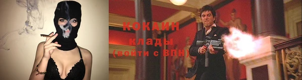 гидра Коряжма