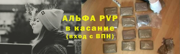 индика Костерёво