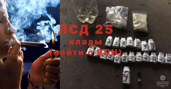 гидра Коряжма