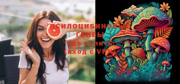 индика Костерёво