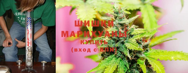 прущая мука Корсаков