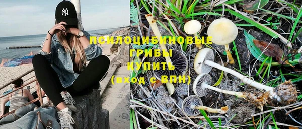 индика Костерёво
