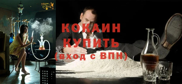 индика Костерёво