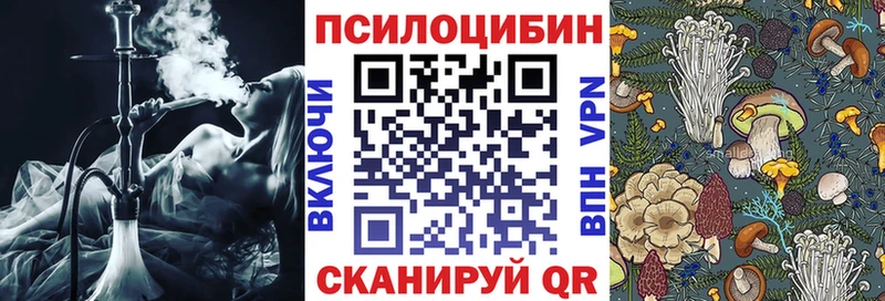 mega ССЫЛКА  Мелеуз  Псилоцибиновые грибы Psilocybe  цены  